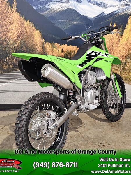 2025 Kawasaki KLX 300Image 6