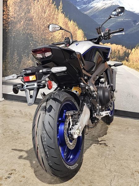 2025 Yamaha MT-09 SP Image 18