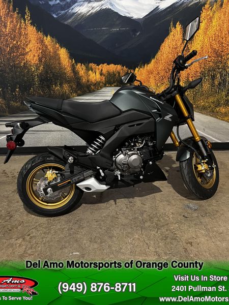 2025 Kawasaki Z125 PROImage 1