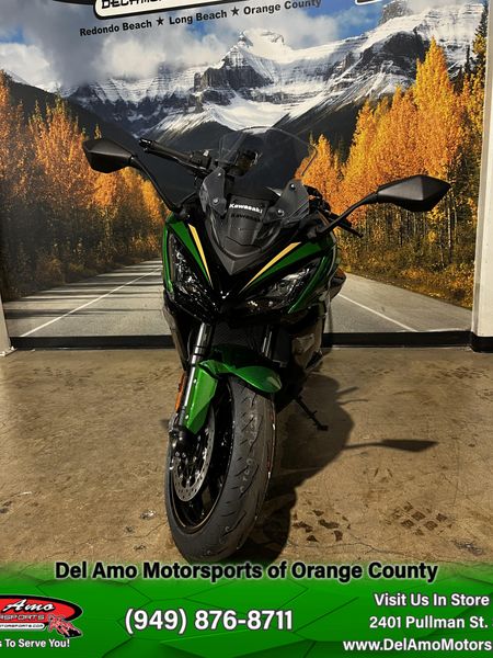 2025 Kawasaki NINJA 1100SX SE Image 2