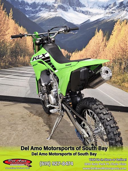 2025 Kawasaki KLX 300RImage 12