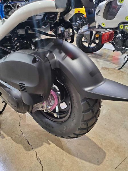 Used 2023 Honda Ruckus Image 7