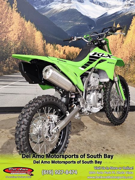 2025 Kawasaki KLX 300RImage 18