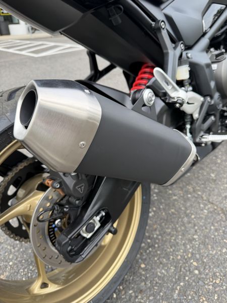 New 2026 Triumph Trident 800 