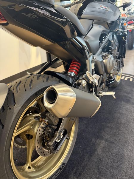 2026 Triumph Trident 800