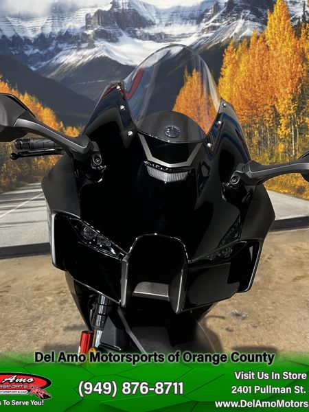 2025 Kawasaki NINJA ZX-10R ABS Image 11