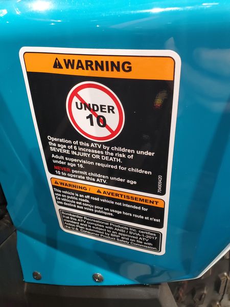 New 2026 Can-Am RENEGADE 110 EFI Image 2