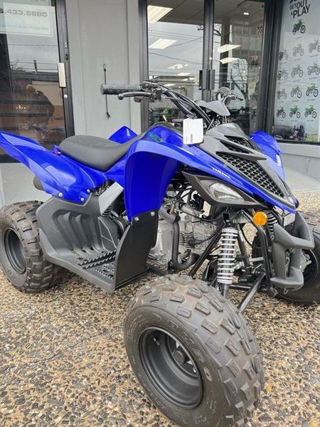 New 2025 Yamaha RAPTOR 110 TEAM BLUE Image 5