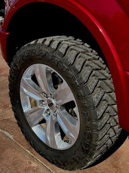 Used 2018 Ford F-150 PlatinumImage 19