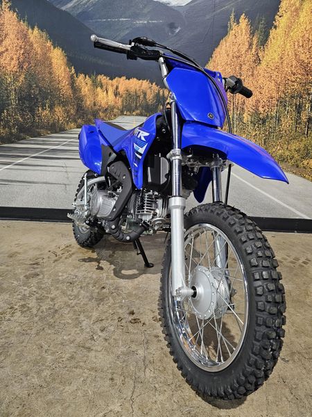 2025 Yamaha TT-R110E Image 6