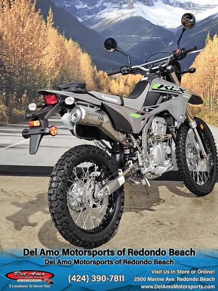 2025 Kawasaki KLX 300Image 6