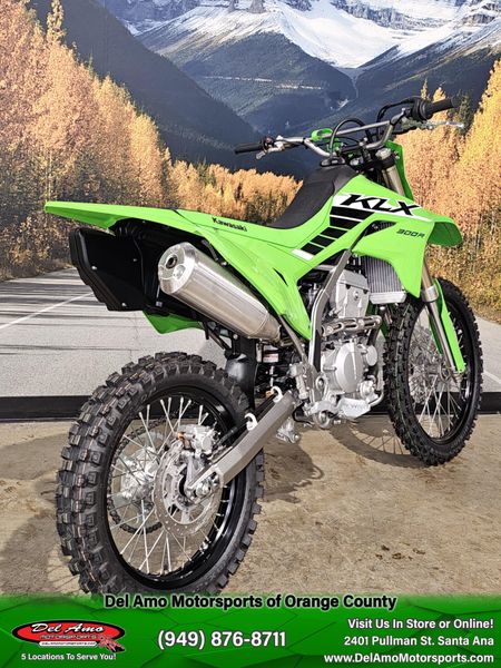2025 Kawasaki KLX 300R Image 9