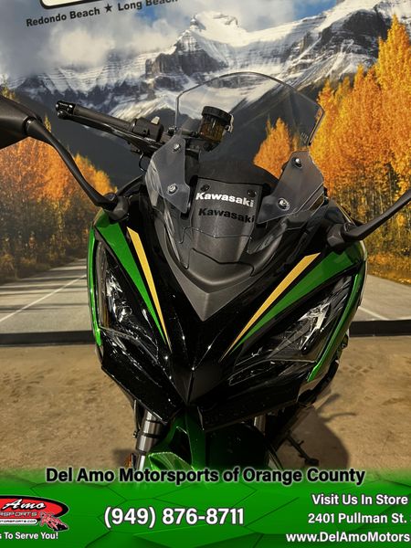 2025 Kawasaki NINJA 1100SX SE Image 3