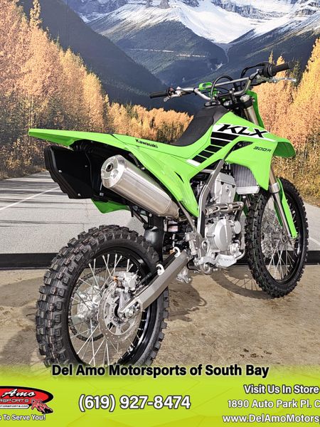 2025 Kawasaki KLX 300RImage 18