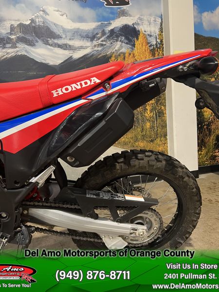 2024 Honda CRF300L RALLY 300L RallyImage 7