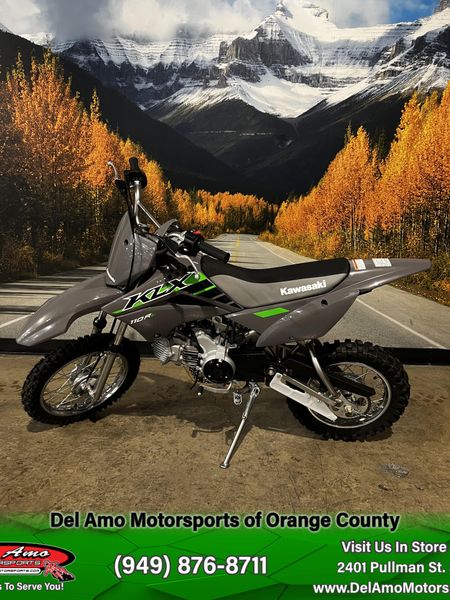 2025 Kawasaki KLX 110R LImage 10