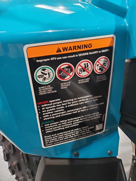 New 2026 Can-Am RENEGADE 110 EFI Image 4