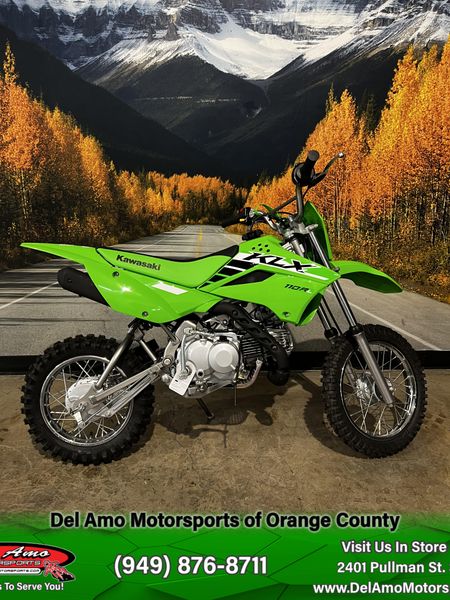 2025 Kawasaki KLX 110R LImage 1