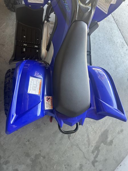 2025 Yamaha RAPTOR 110 Image 14
