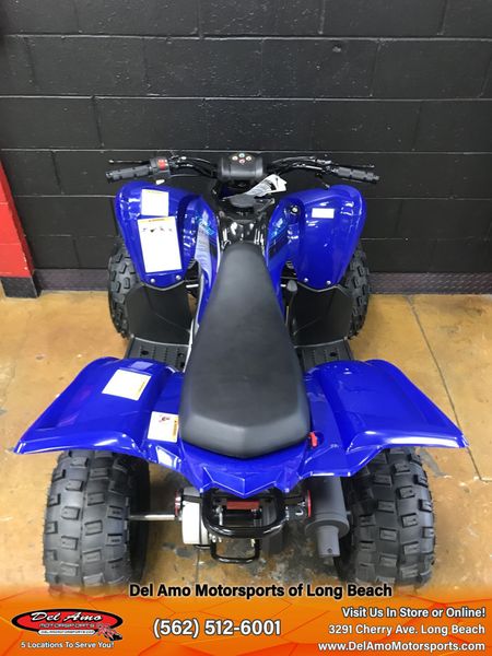 2024 Yamaha RAPTOR 110Image 17