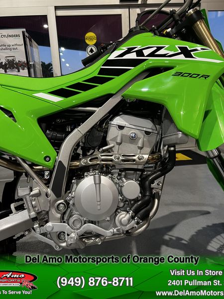 2025 Kawasaki KLX 300RImage 10