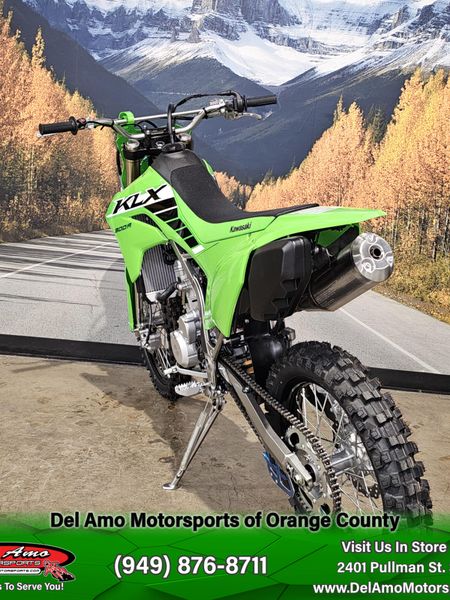 2025 Kawasaki KLX 300Image 11