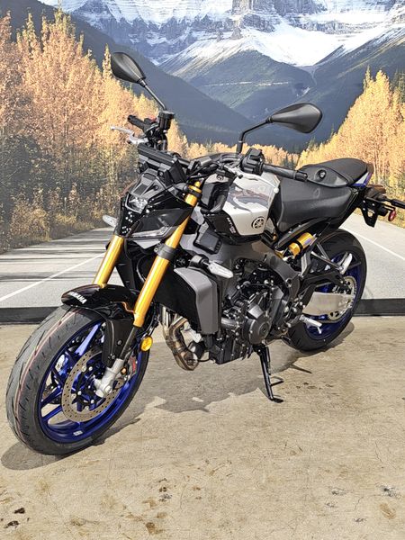 2025 Yamaha MT-09 SP Image 10