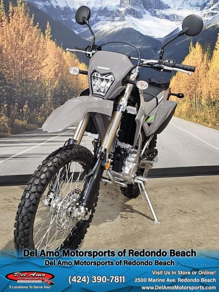 2025 Kawasaki KLX 300Image 12