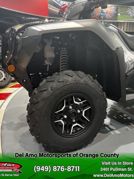 2025 Honda FOREMAN RUBICON DCT EPSImage 3