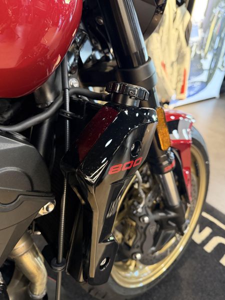 2026 Triumph Trident 800