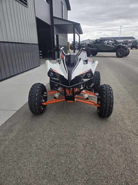 New 2027 KAYO STORM 300 EFI 