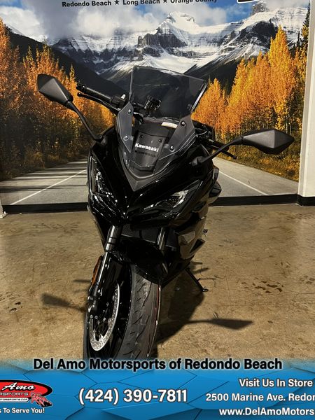 2025 Kawasaki NINJA 1100SX Image 10