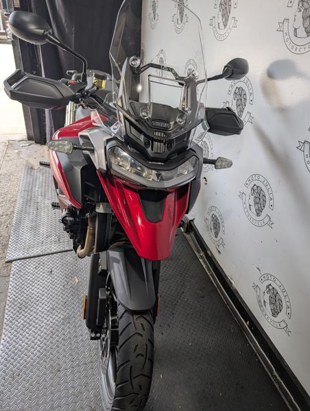 New 2025 Triumph TIGER 1200 GT PRO 