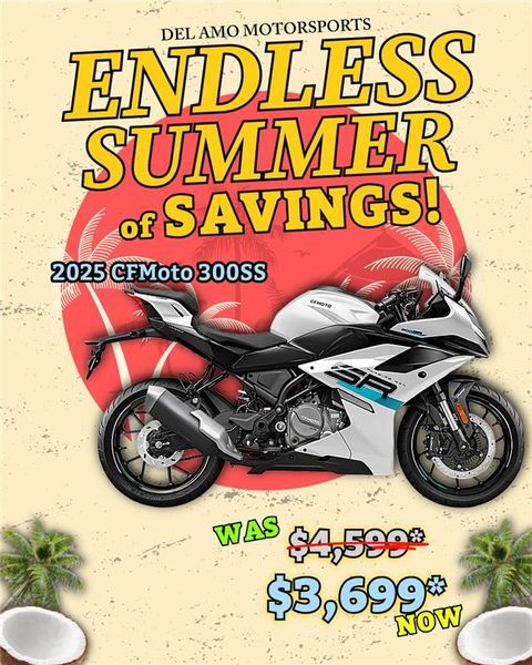 New 2025 CFMOTO 300SS Image 1