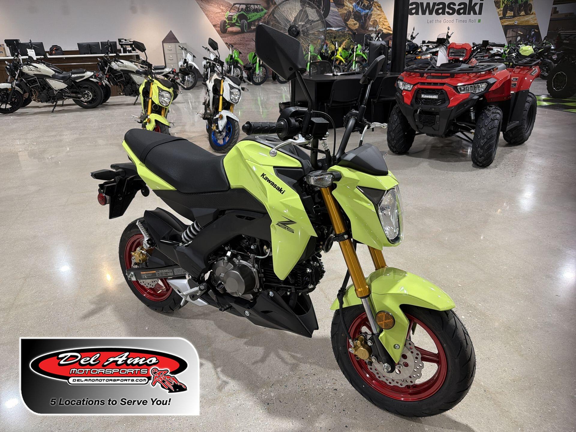 2026 Kawasaki Z125 PRO
