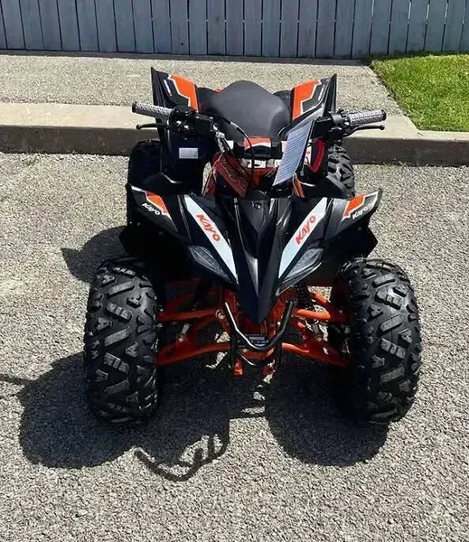 NEW 2025 KAYO PREDATOR 110 Image 4
