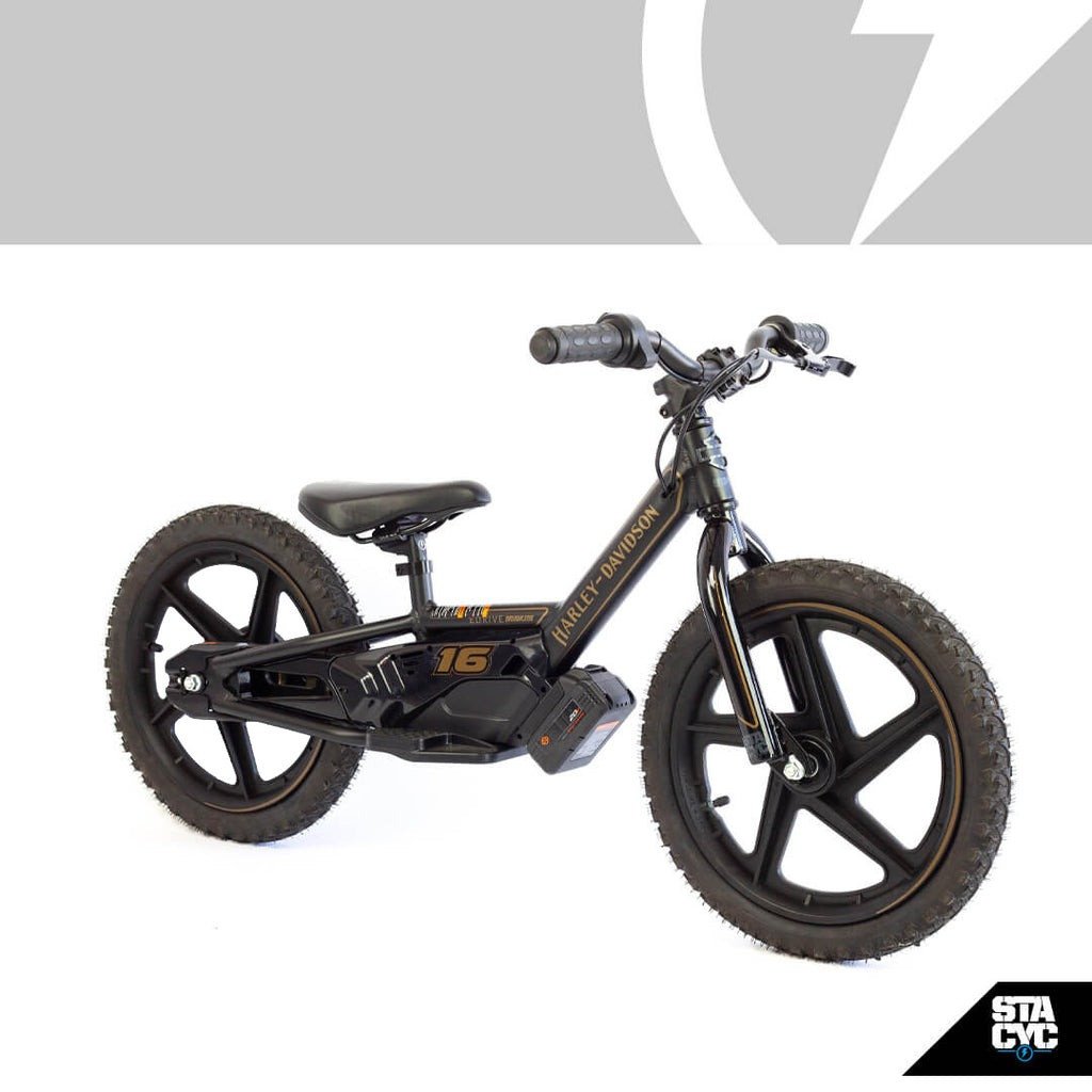 2024 Stacyc H-D 16eDrive Brushless