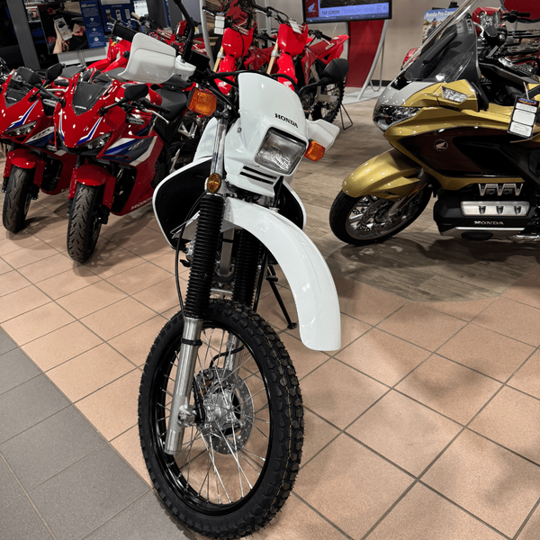 NEW 2025 HONDA XR650L Image 2