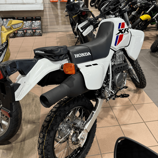 NEW 2025 HONDA XR650L Image 3