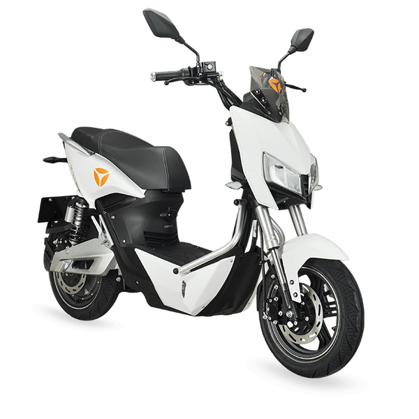 2021 Ziggy Z3PREMIUM Image 1
