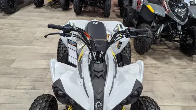 2024 CAN-AM RENEGADE 110 EFI CATALYST GRAY AND NEO YELLOWImage 5