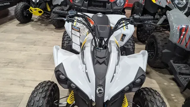 2024 CAN-AM RENEGADE 110 EFI CATALYST GRAY AND NEO YELLOWImage 10