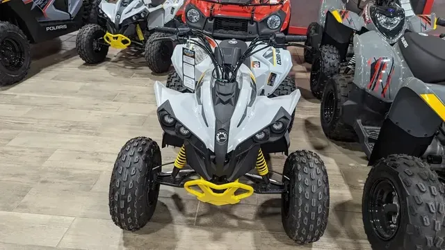 2024 CAN-AM RENEGADE 110 EFI CATALYST GRAY AND NEO YELLOWImage 4