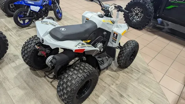 2024 CAN-AM RENEGADE 110 EFI CATALYST GRAY AND NEO YELLOWImage 6