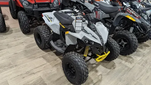 2024 CAN-AM RENEGADE 110 EFI CATALYST GRAY AND NEO YELLOWImage 2