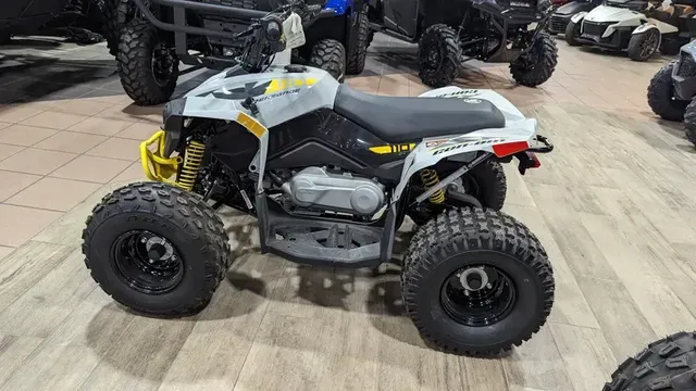 2024 CAN-AM RENEGADE 110 EFI CATALYST GRAY AND NEO YELLOWImage 1