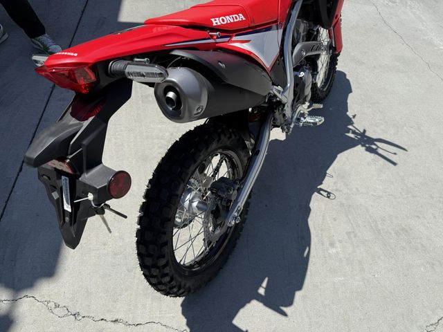 New 2025 Honda CRF300L Image 4