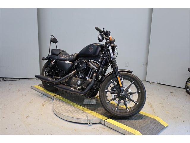 2020 Harley-Davidson XL883N