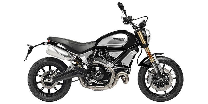 2019 Ducati Scrambler 1100Image 6