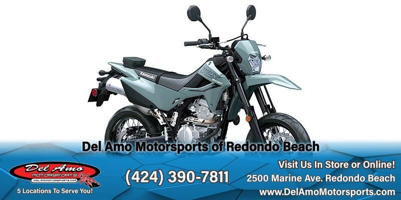 2025 Kawasaki KLX 300SMImage 3